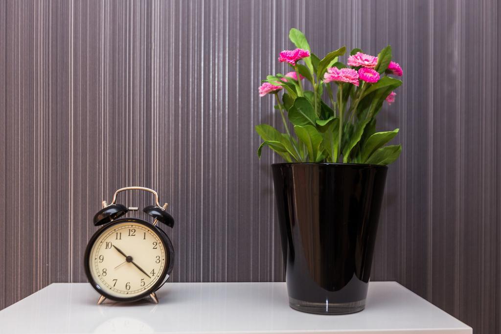 Apartments Elizabeth Biograd Na Moru Rom bilde